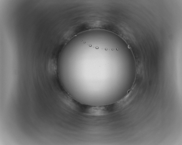 X0000110670179200906121317