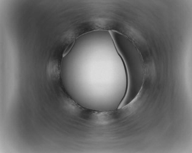 X0000110670186200906121317