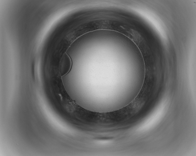 X0000110670189200906121317