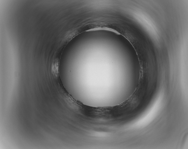 X0000110670190200906121317