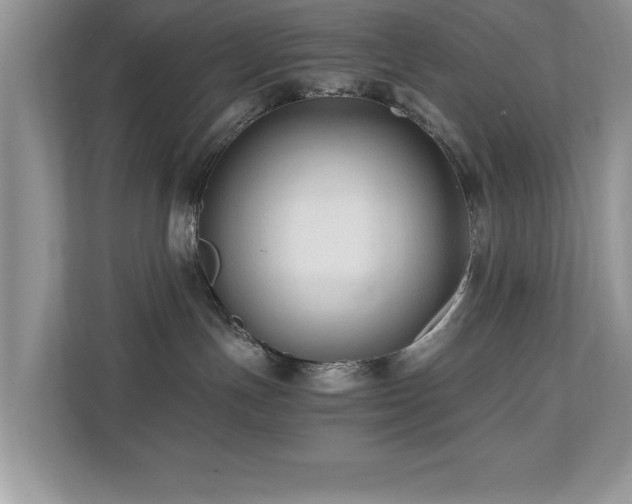 X0000110670191200906121317