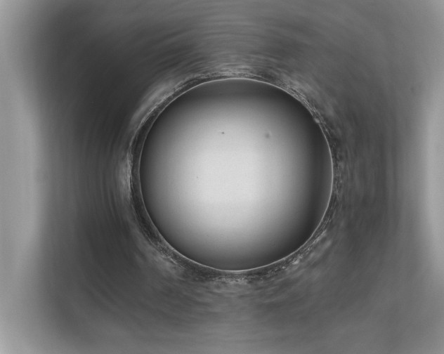 X0000110670194200906121316