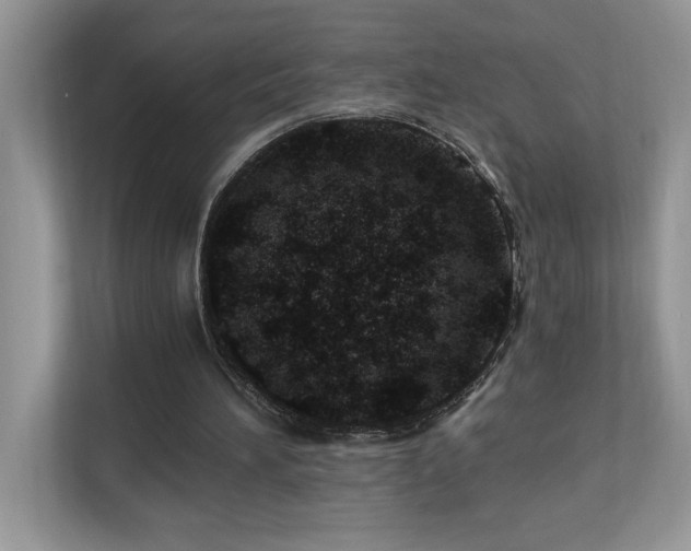 X0000110670196200906121316