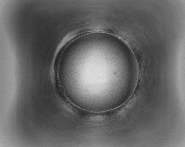 X0000110670198200906121316