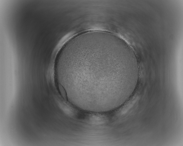 X0000110670199200906121316