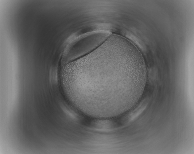 X0000110670203200906121316