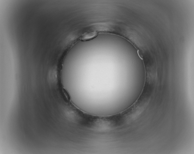 X0000110670207200906121316