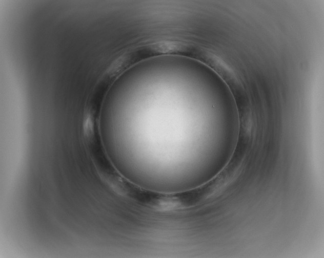 X0000110670214200906121316