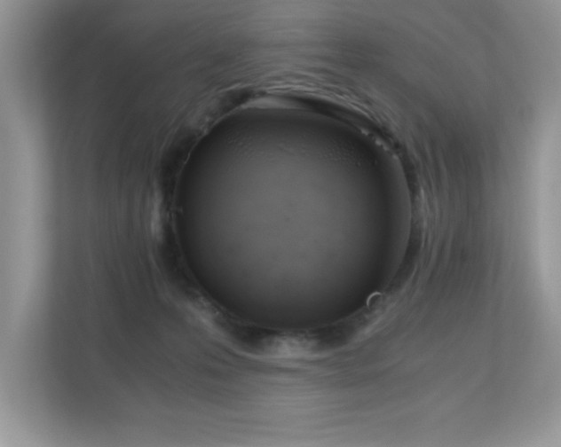 X0000110670223200906121316