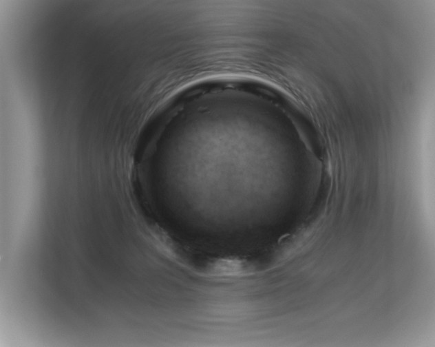 X0000110670227200906121316