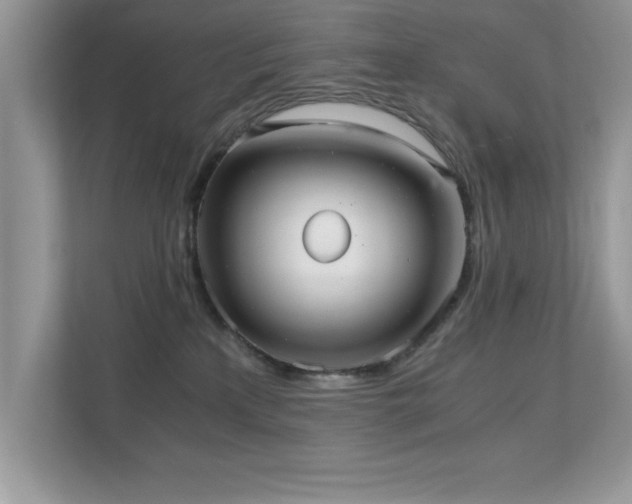 X0000110670233200906121316