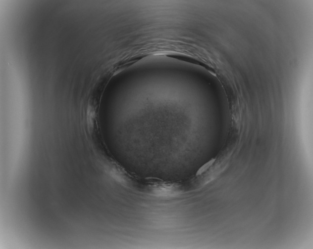 X0000110670235200906121316