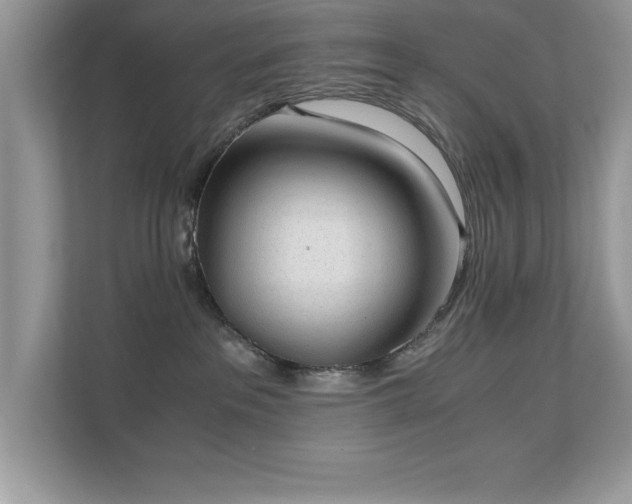 X0000110670237200906121316