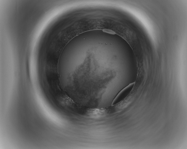 X0000110670239200906121316