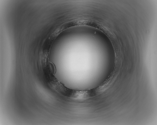 X0000110670240200906121316