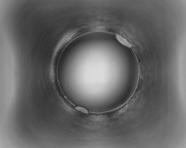 X0000110670245200906121315