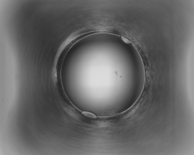 X0000110670246200906121315