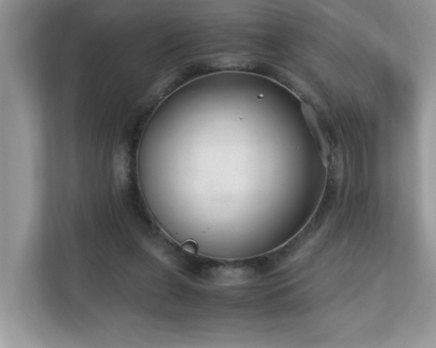 X0000110670255200906121315