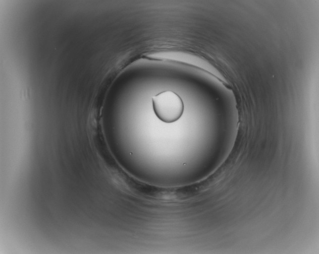X0000110670264200906121316