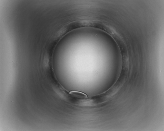 X0000110670266200906121316