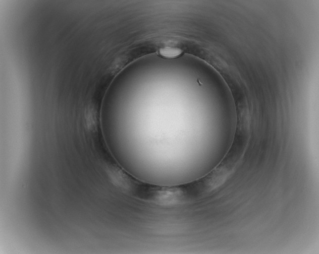 X0000110670274200906121316