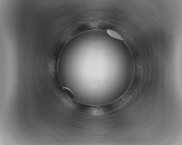X0000110670275200906121316