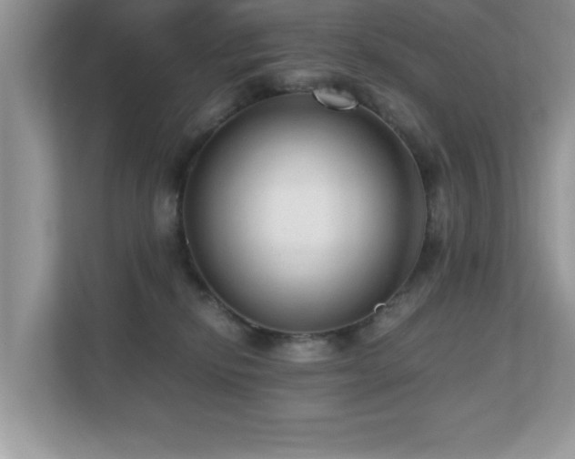 X0000110670278200906121316