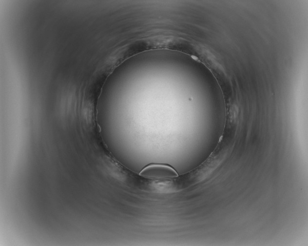 X0000110670283200906121316