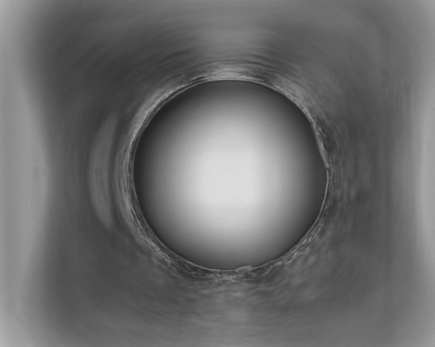 X0000110670289200906121315
