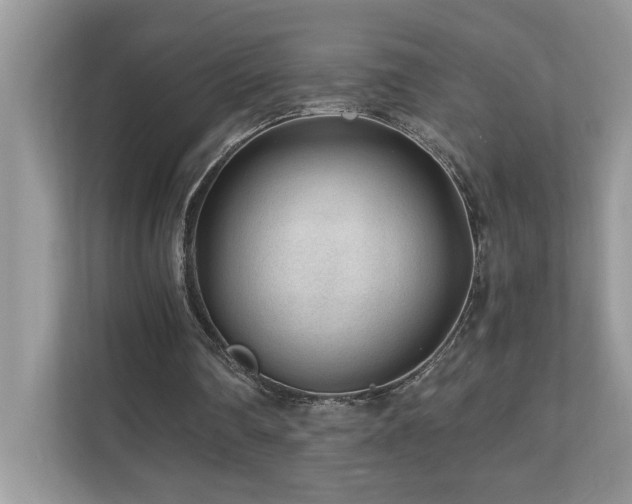 X0000110670290200906121315