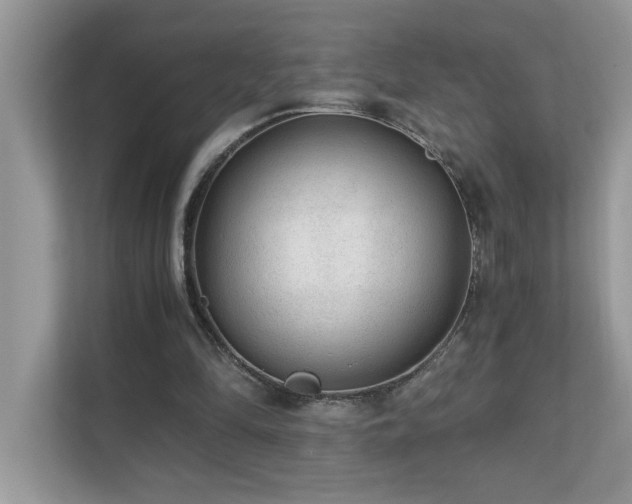 X0000110670294200906121315