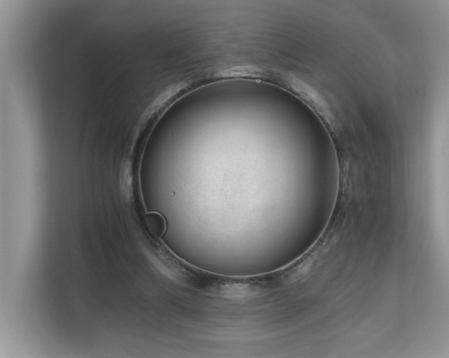 X0000110670298200906121315