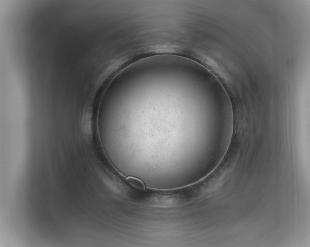 X0000110670299200906121315