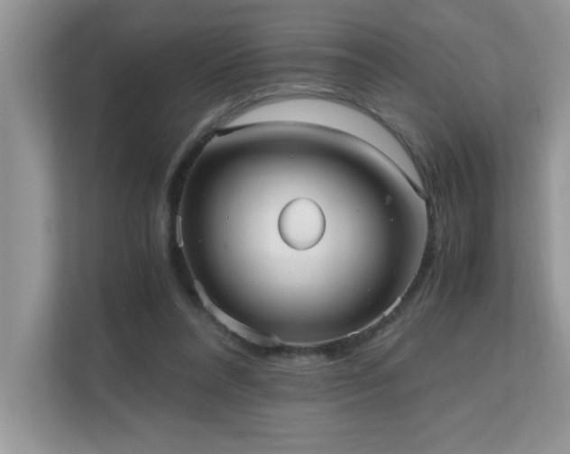 X0000110670304200906121315