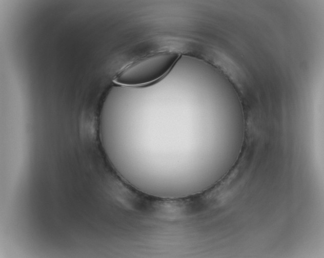 X0000110670305200906121315