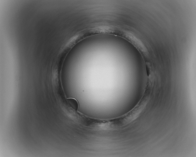X0000110670306200906121315