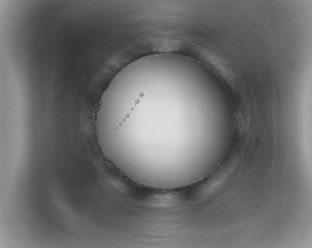 X0000110670307200906121315