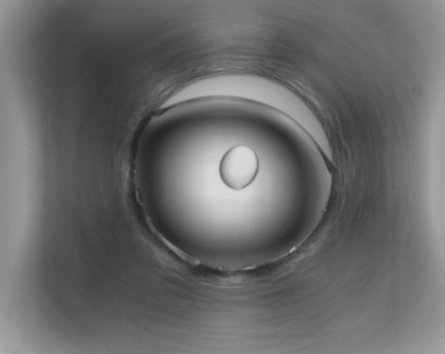 X0000110670309200906121315