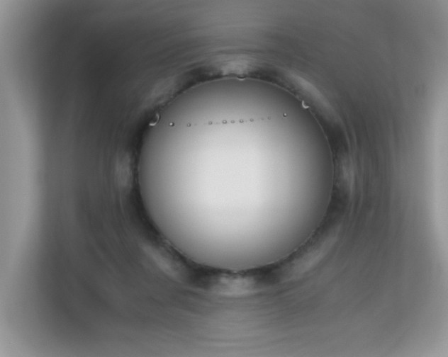 X0000110670311200906121315