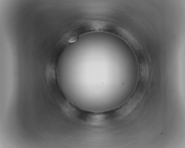 X0000110670313200906121315