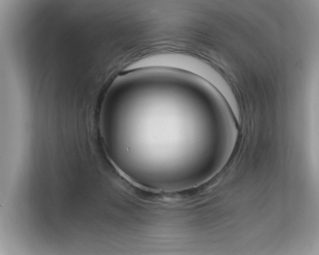 X0000110670317200906121315