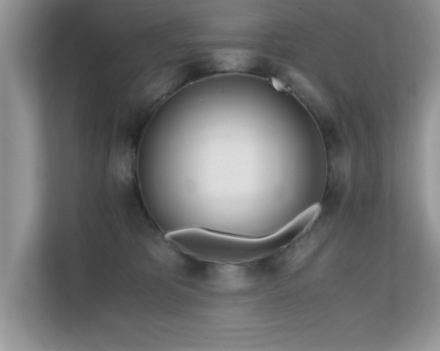 X0000110670325200906121315