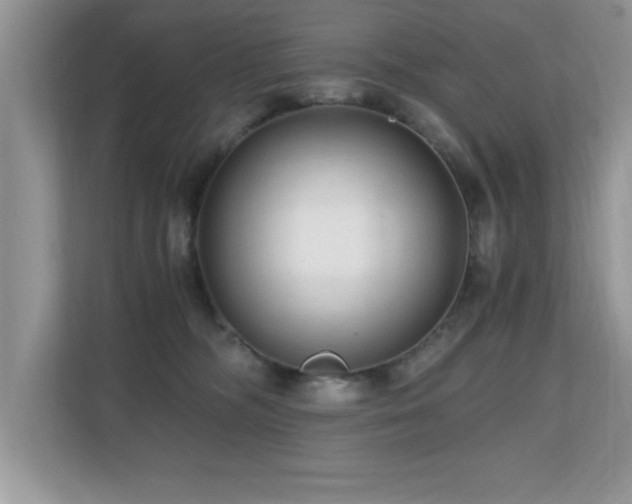X0000110670326200906121315