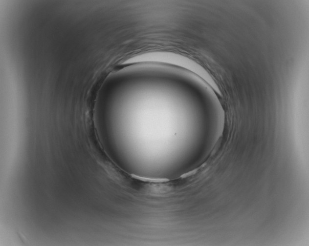 X0000110670327200906121315