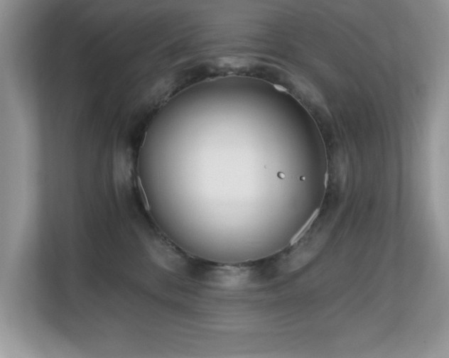 X0000110670328200906121315