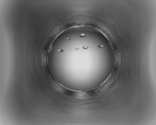 X0000110670333200906121315