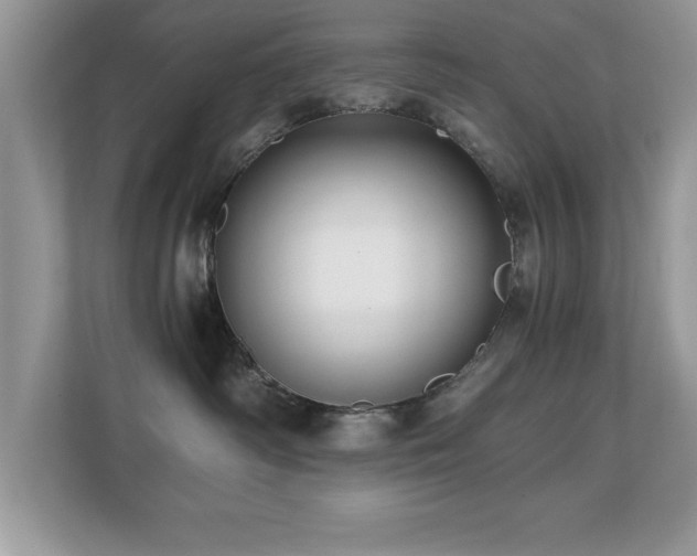 X0000110670334200906121315