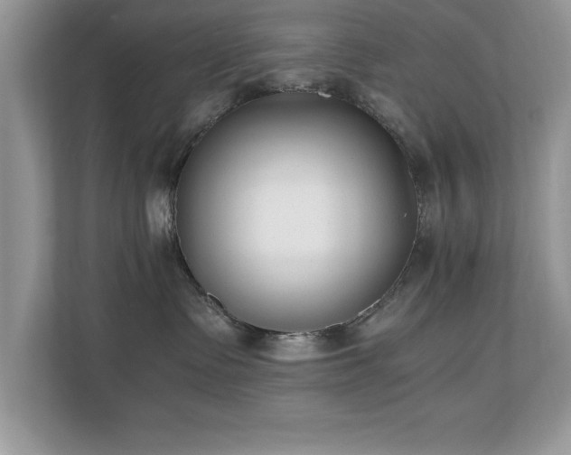 X0000110670335200906121315