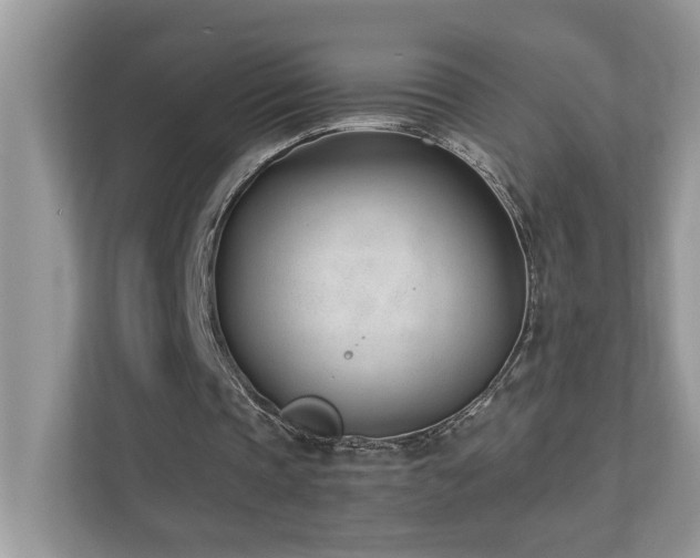 X0000110670337200906121314
