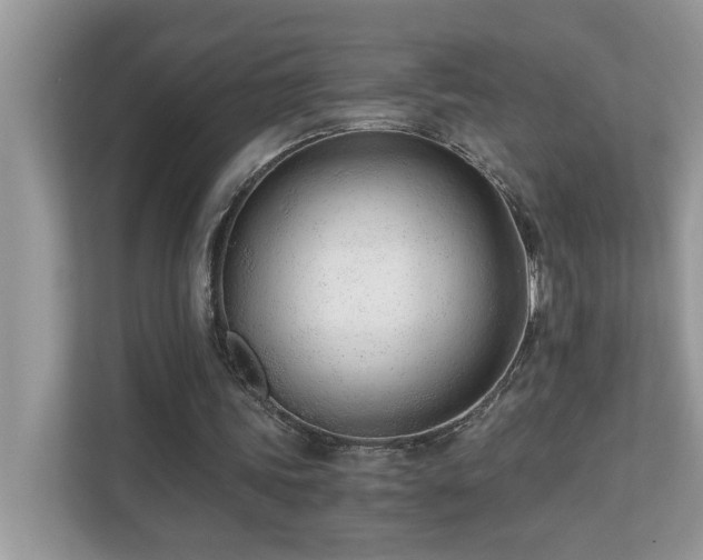 X0000110670339200906121314